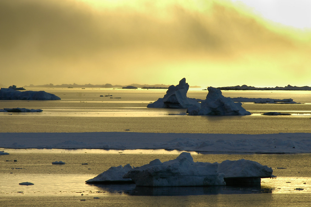 Antarctica Turning Green.